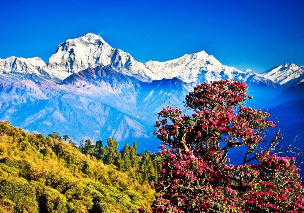 Best Season for Solo Trekking in Nepal